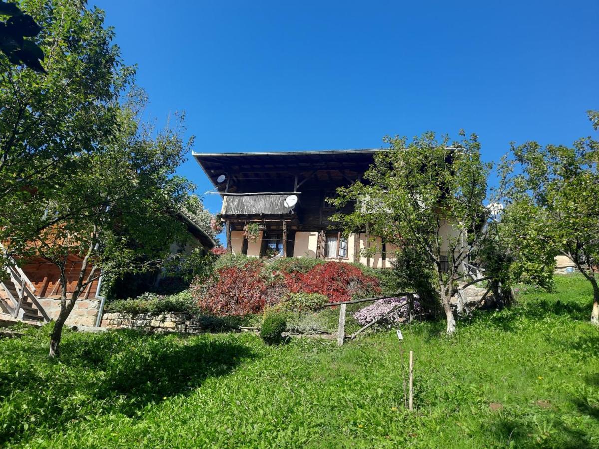 Guest House Kandaferi 2 Elena Exterior photo