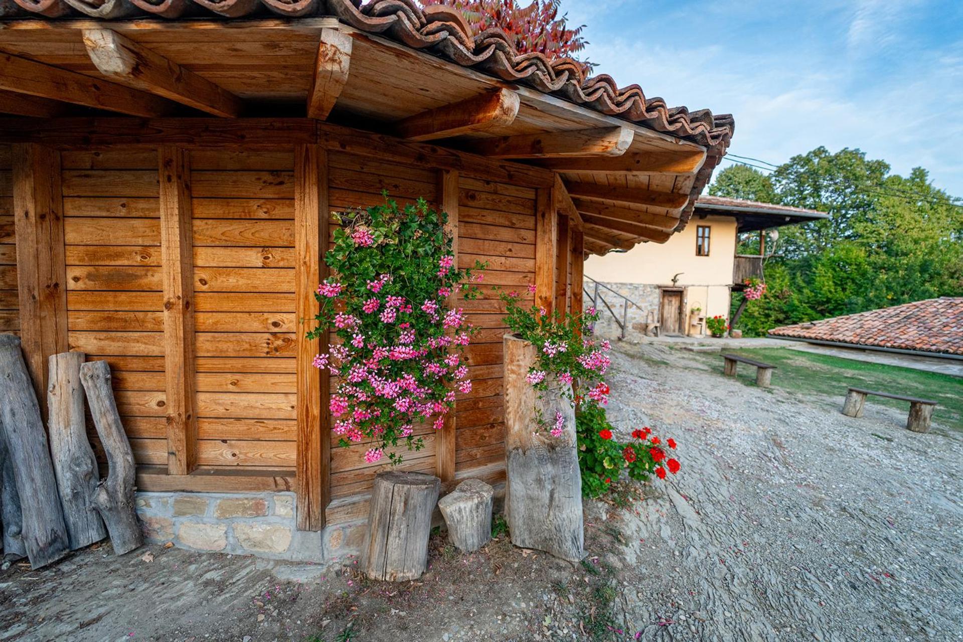 Guest House Kandaferi 2 Elena Exterior photo